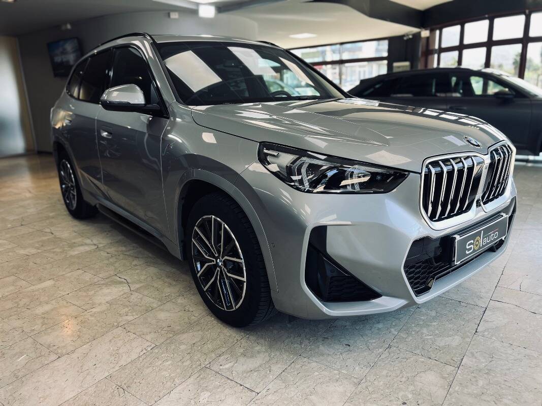 BMW X1 U11