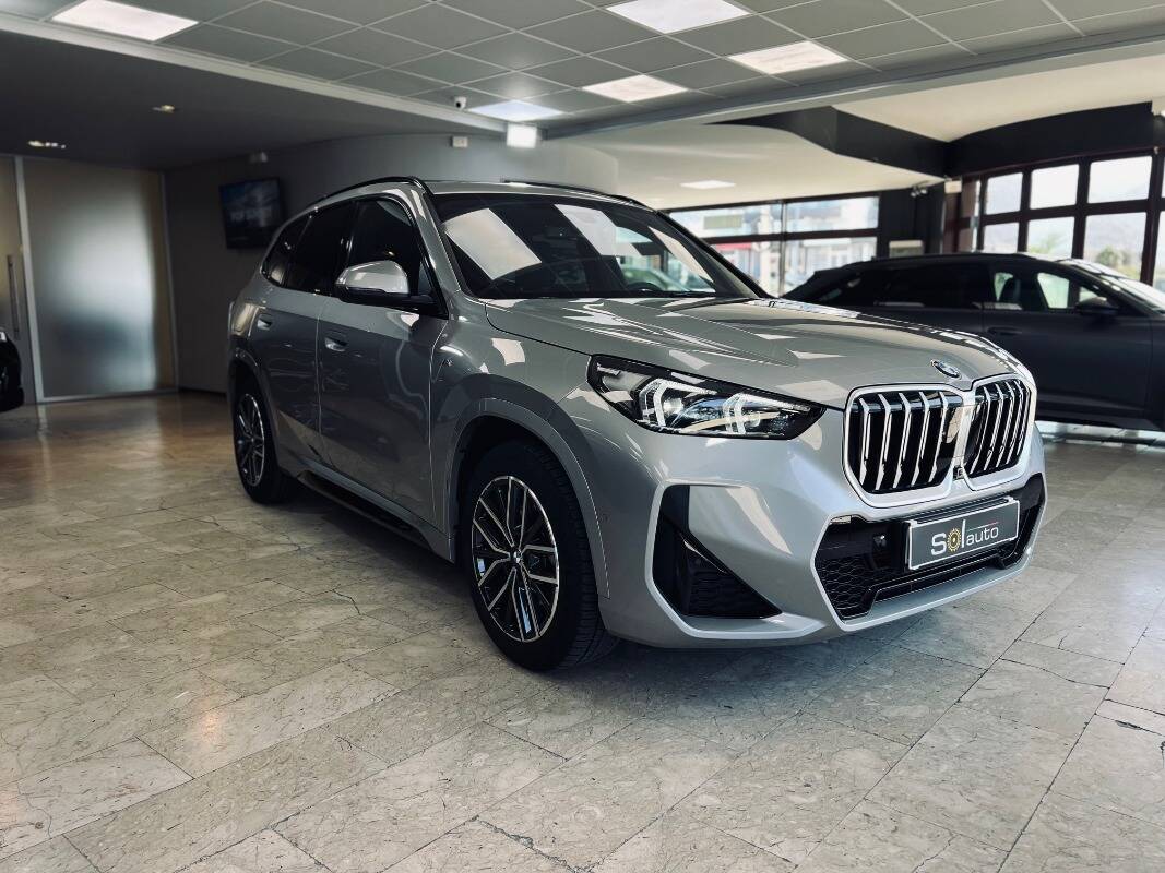 BMW X1 U11