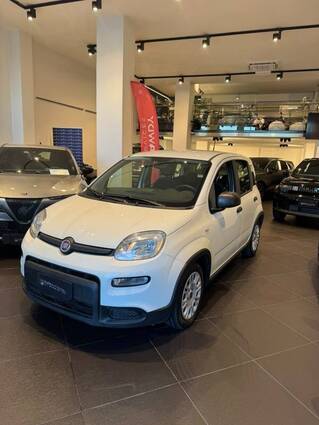 Fiat Panda III 2021 1.0 firefly hybrid s&s 70cv 5p.ti - Fiat